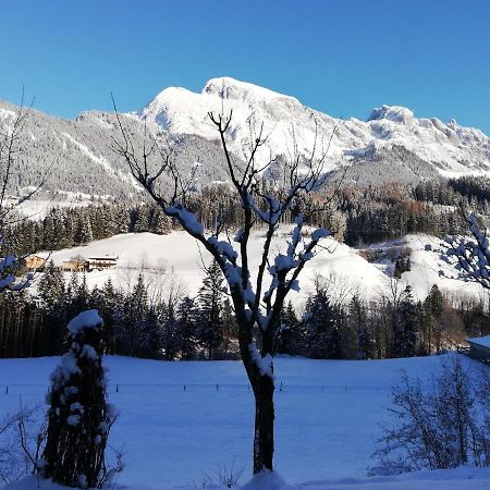 Ferienwohnung Wohlesser Annaberg im Lammertal Bagian luar foto