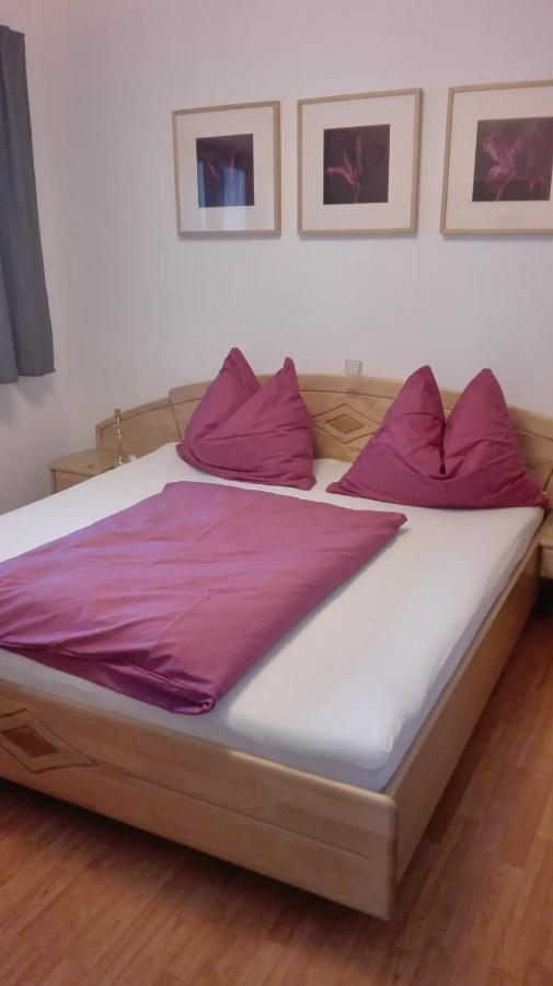 Ferienwohnung Wohlesser Annaberg im Lammertal Bagian luar foto