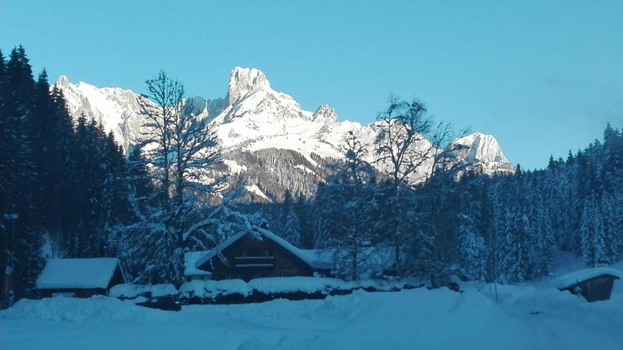 Ferienwohnung Wohlesser Annaberg im Lammertal Bagian luar foto